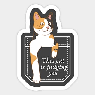 This cat is judging you Sticker